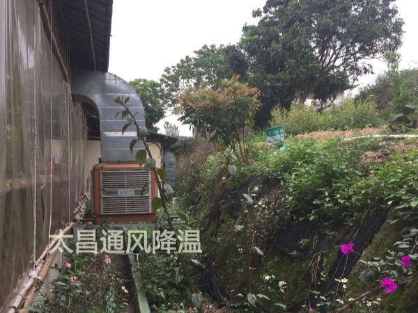 餐廳太熱？環?？照{為你送清風