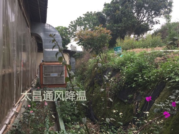 天氣太熱?環保空調為你的餐廳守護清涼