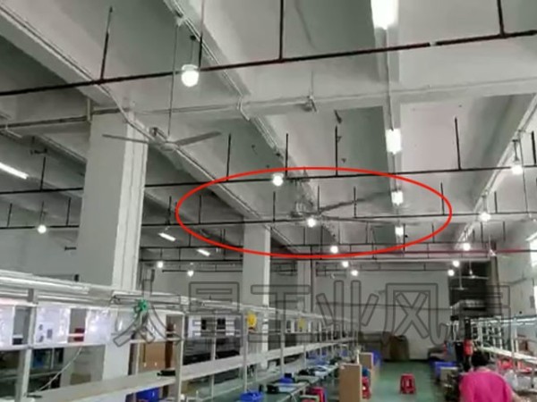 大型風扇 大吊扇 工業大風扇的應用介紹